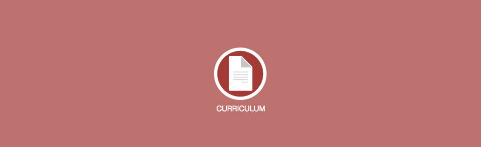 curriculum_EN_980